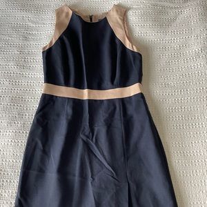 Gorgeous J. Crew dress